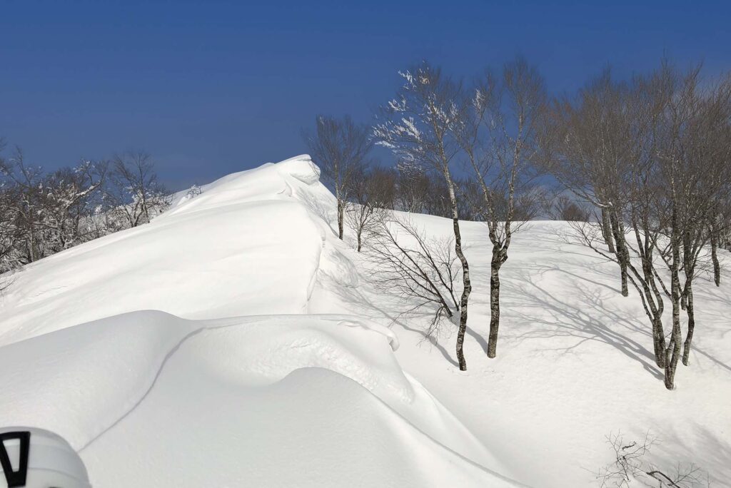 鍋倉山の雪庇